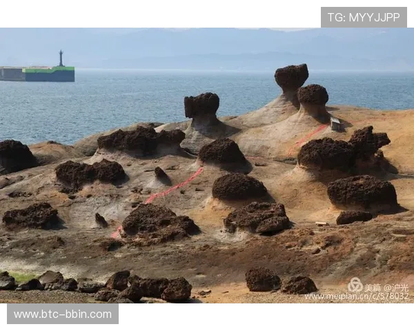 如何选择168幸运飞艇高赔率投注策略实现稳定盈利的方法指南