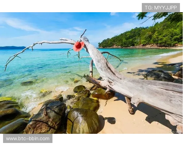 选择沙巴真人娱乐平台的五大理由，助你轻松开启高品质博彩体验